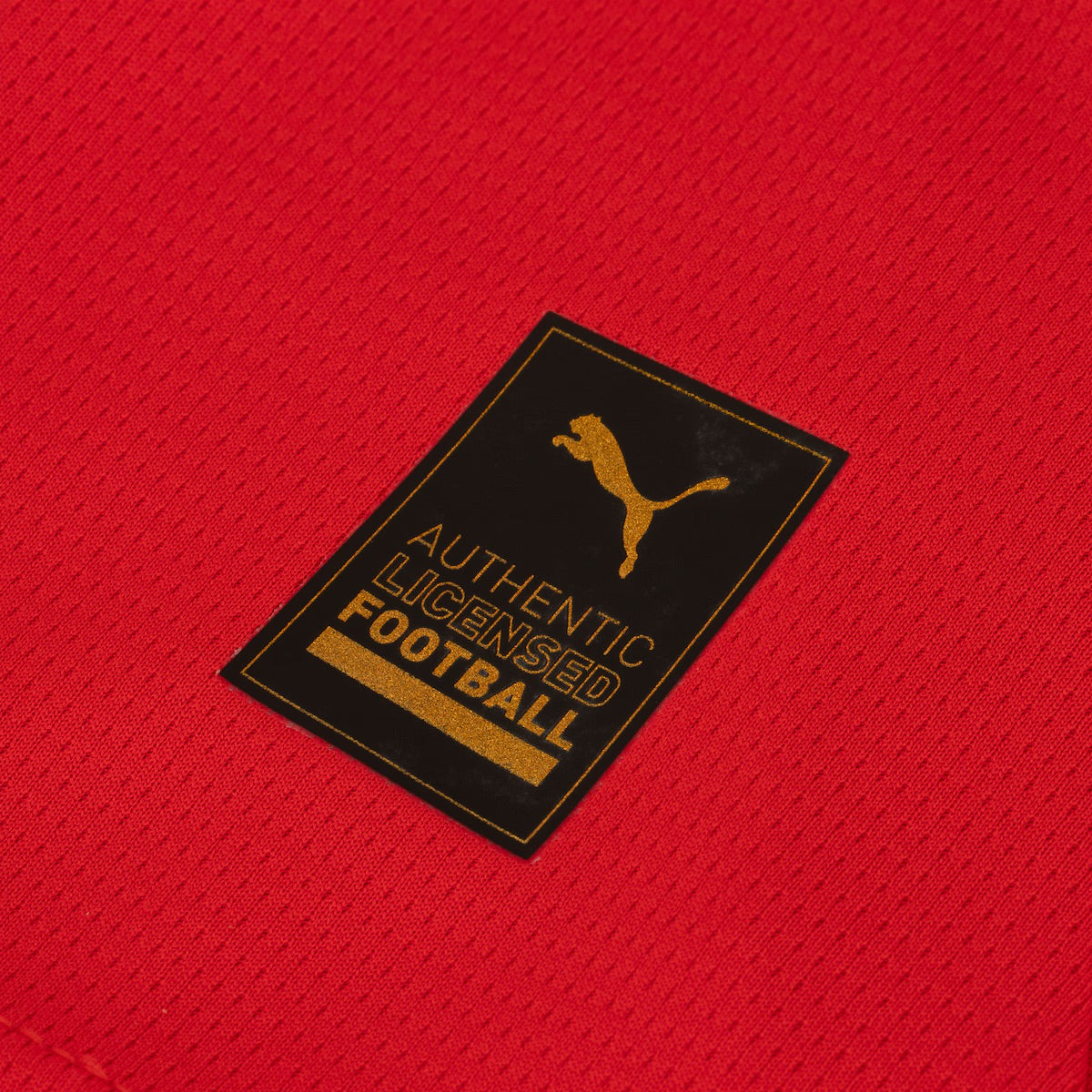 Camisola Principal 2024/25 do AC Milan - Homem