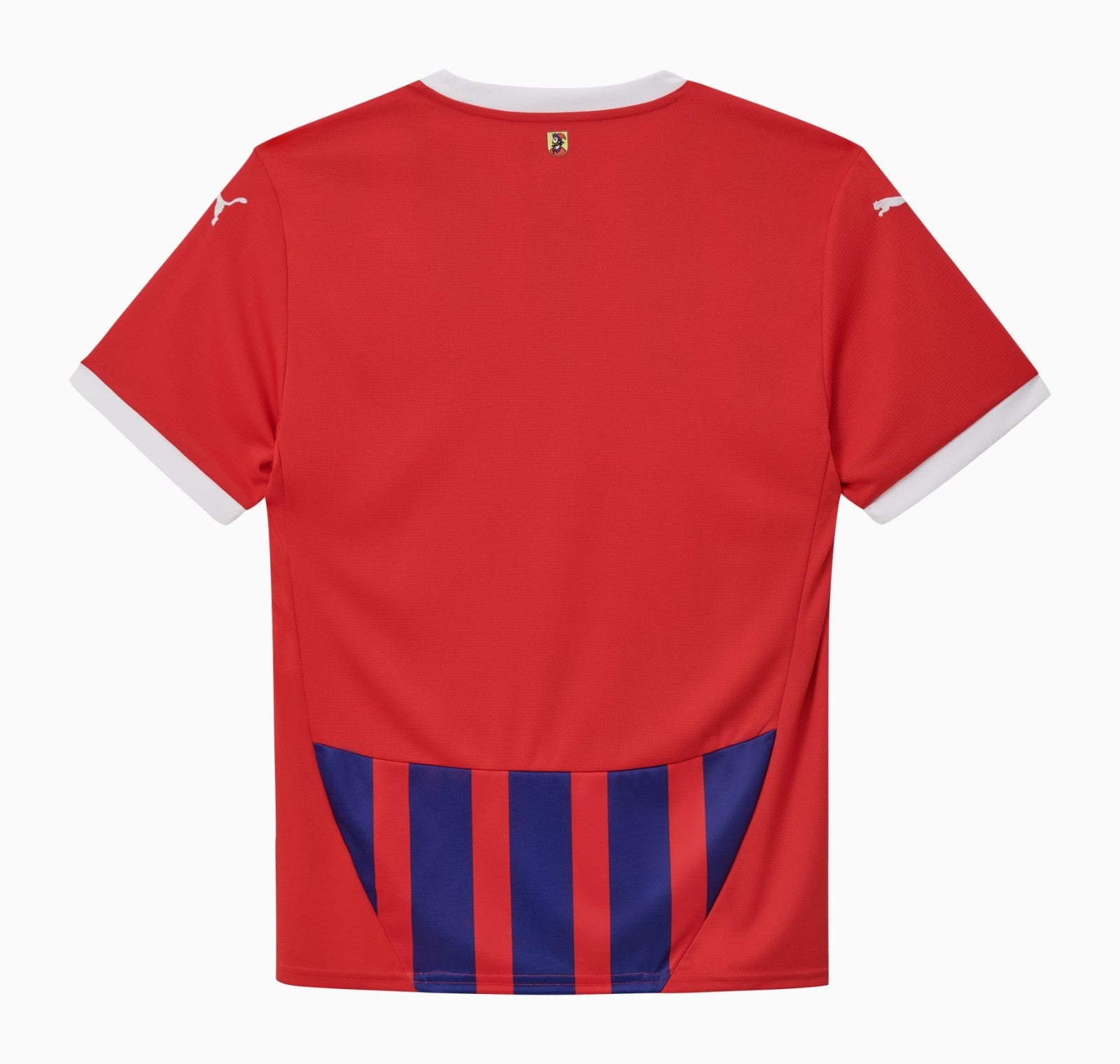 FC Heidenheim Home Shirt 2024/25 - Men