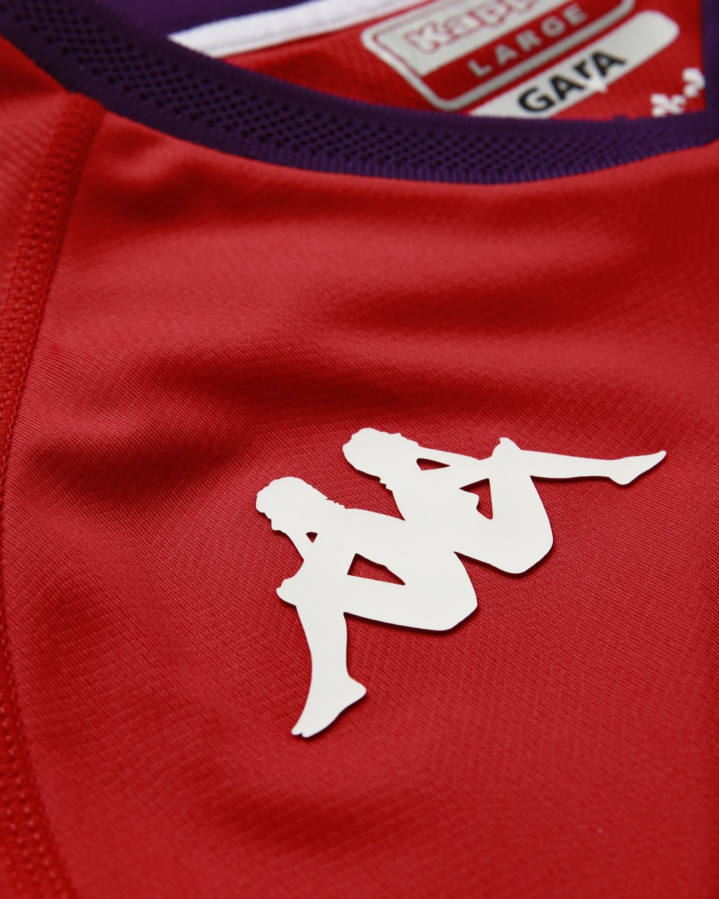 Camisola Terceira da Fiorentina 2024/25 - Homem