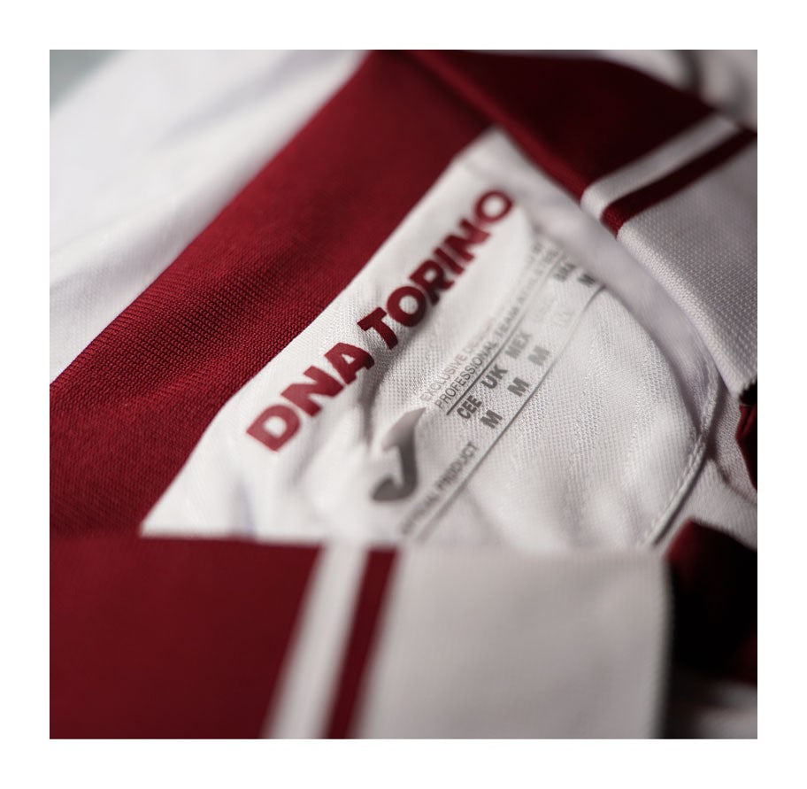 Torino 2024/25 Away Men's Shirt