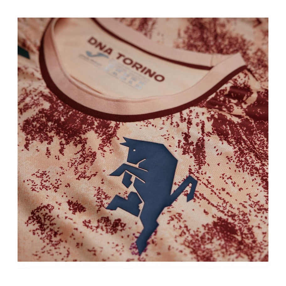Camisola Terceira do Torino 2024/25 - Homem