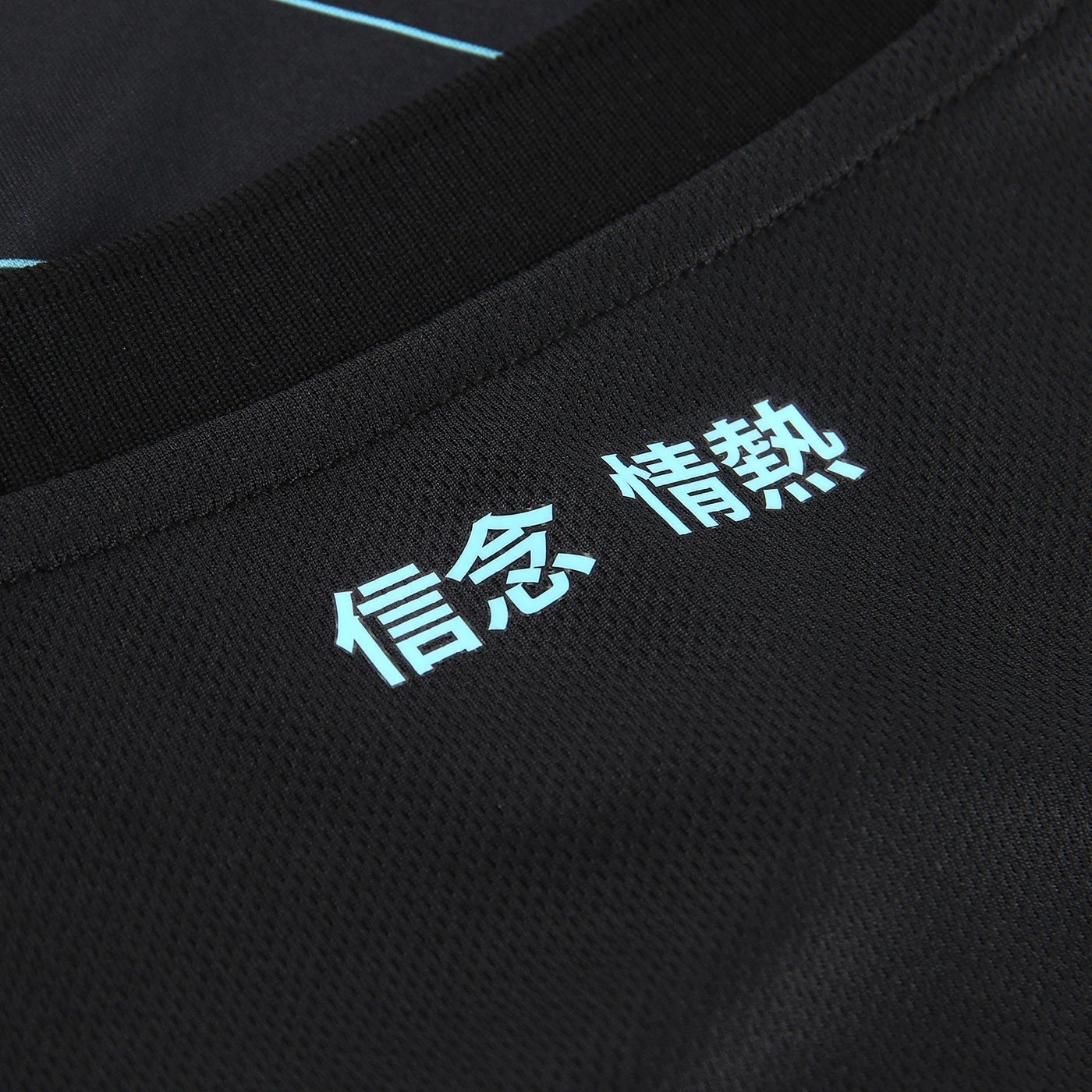 Camisola Lazio 2024/25 Third - Homem