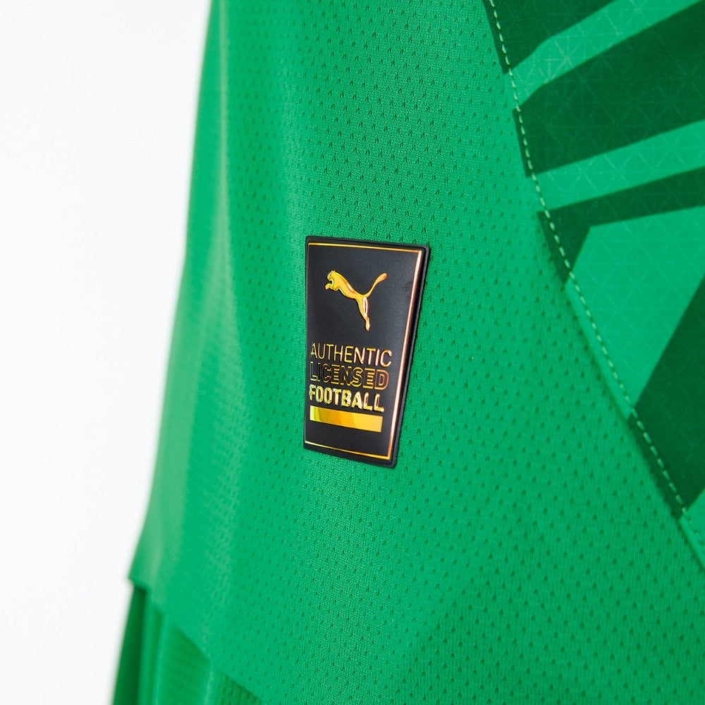 Camisola Alternativa do Borussia Mönchengladbach 2024/25 - Homem